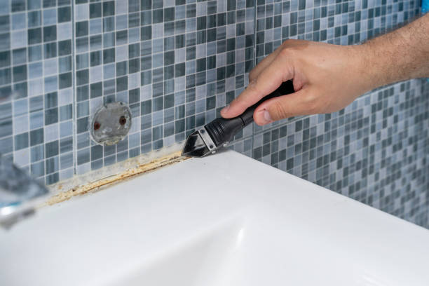 Best Mold Inspection  in Lewiston, UT