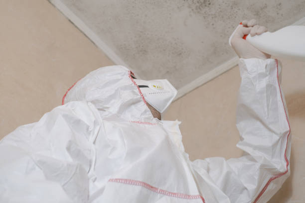 Water Damage Restoration in Lewiston, UT